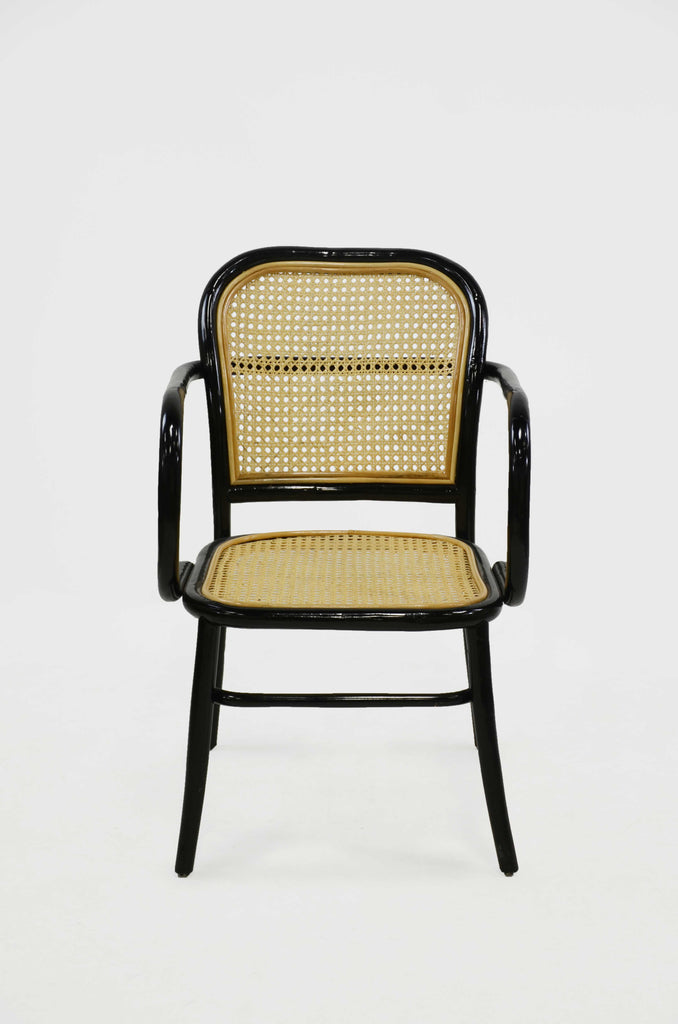 Rattan Collection | La Botanica