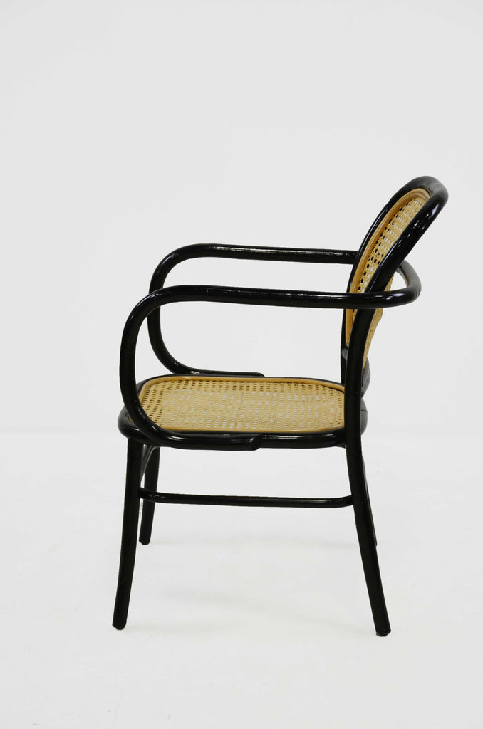 Rattan Collection | La Botanica