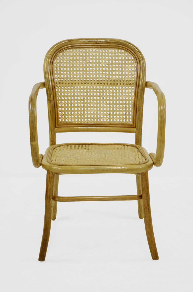 Rattan Collection | La Botanica