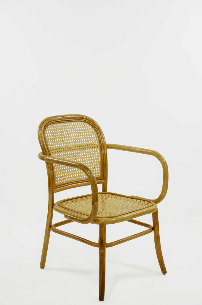 Rattan Collection | La Botanica